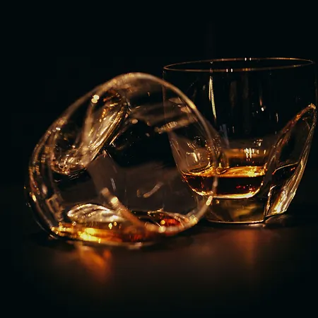 Ξενοδοχείο The Wellem 5*